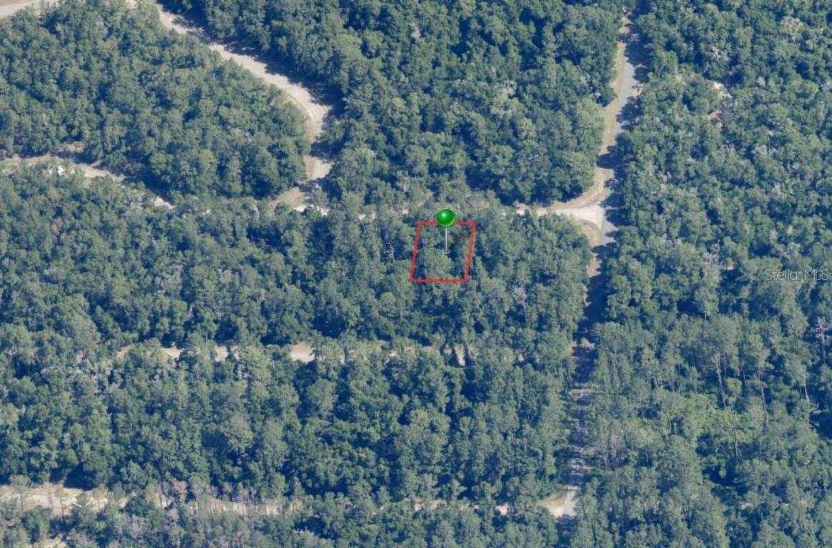 928 E Panama Dr., Citrus Springs, FL 34434