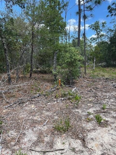 TBD SW 57th Ave. #48 & 49, Interlachen, FL 32148