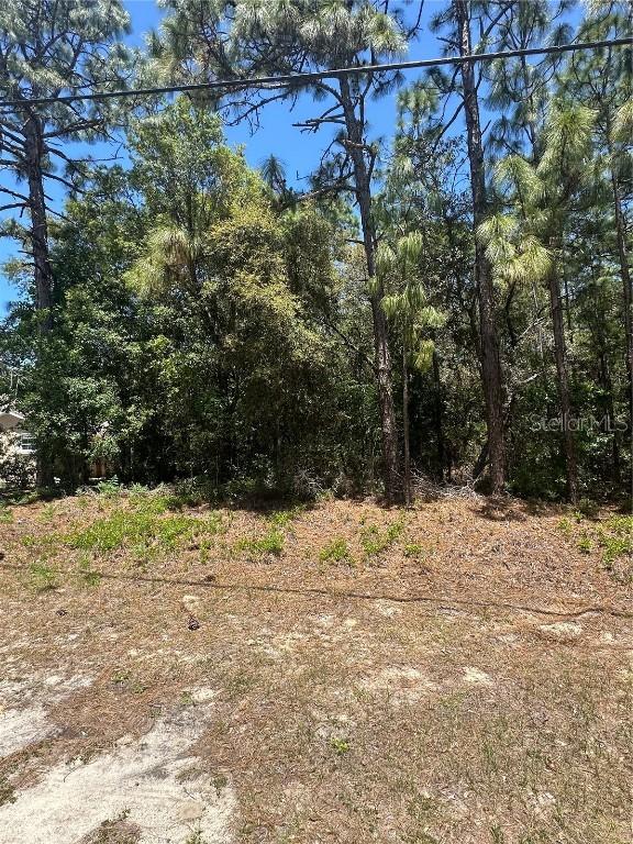 557 W Anderson Ln., Citrus Springs, FL 34434