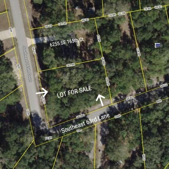 TBD SE 165th Ct., Ocklawaha, FL 32179