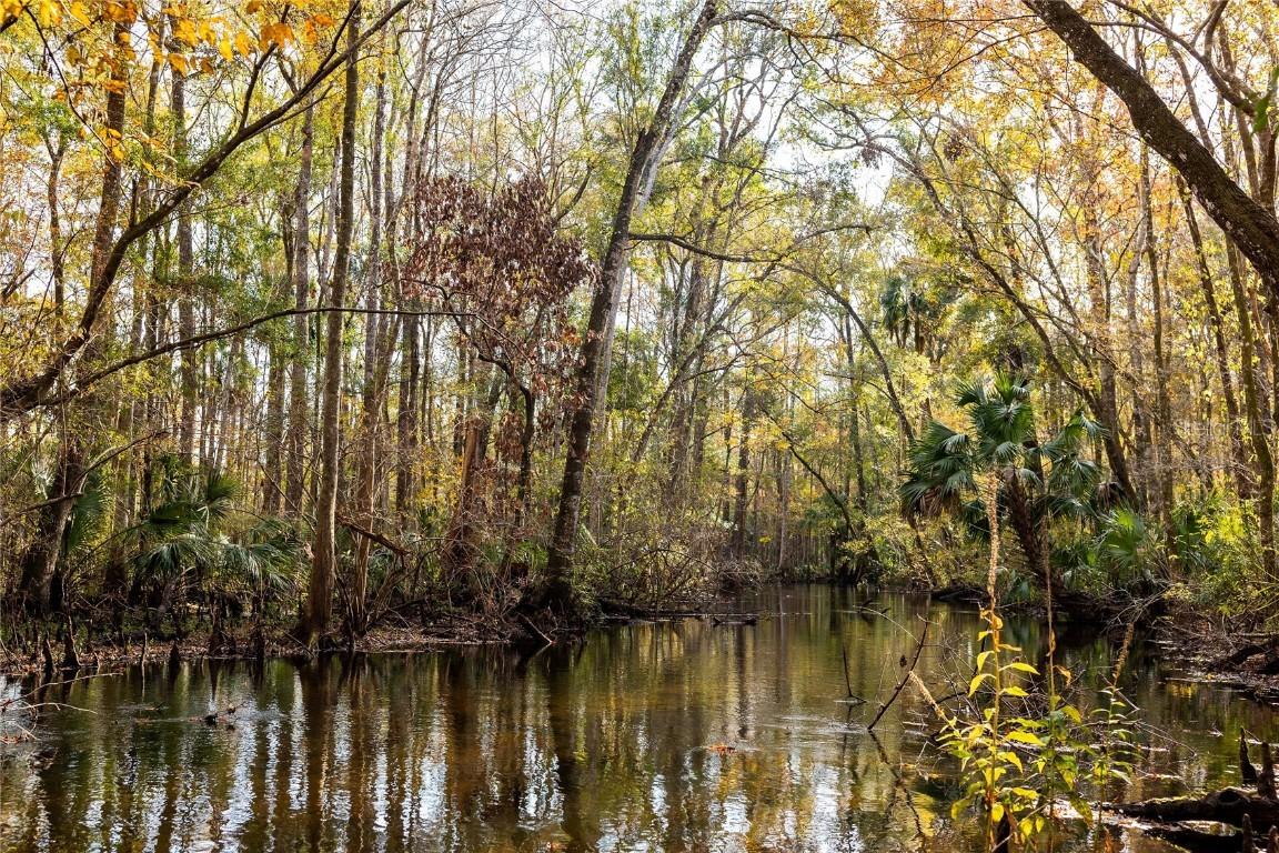 00 Cr 326, Gulf Hammock, FL 32639