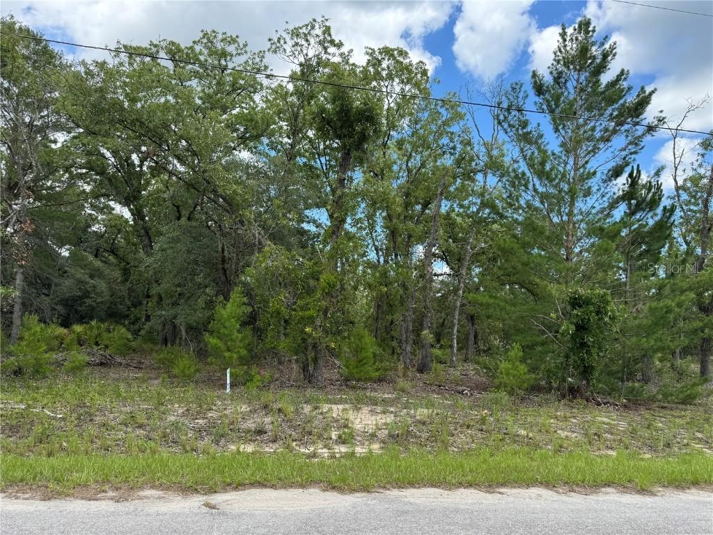 Malauka Trail Course #04, Ocklawaha, FL 32179