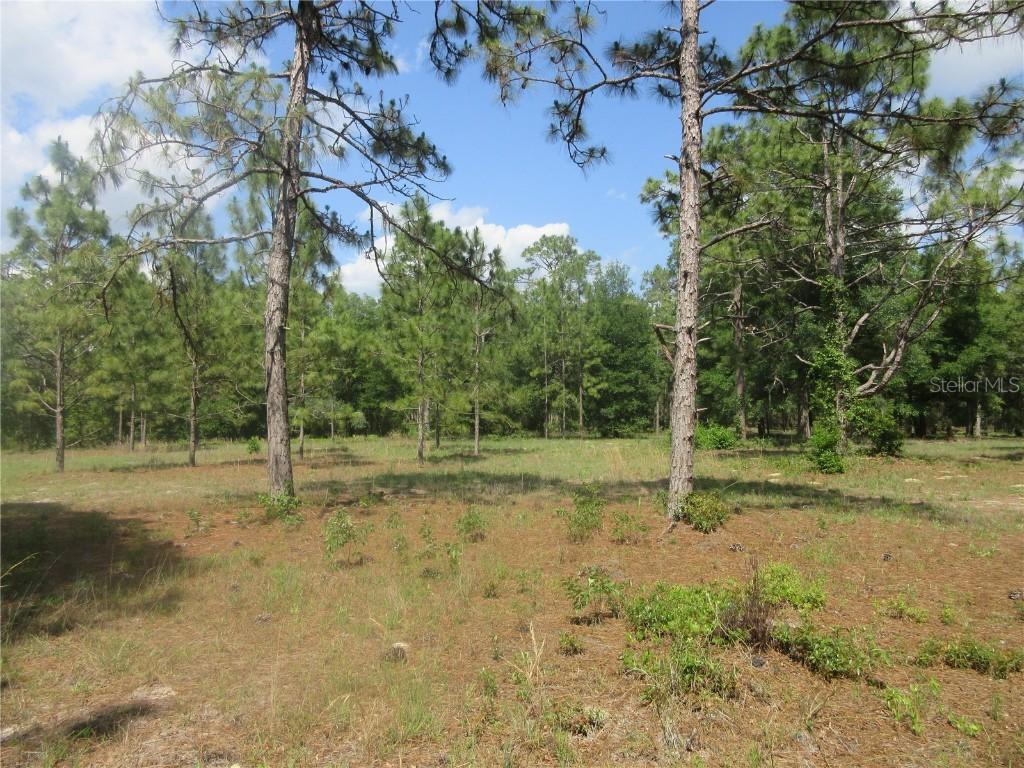 3201 S Highway 314a, Ocklawaha, FL 32179