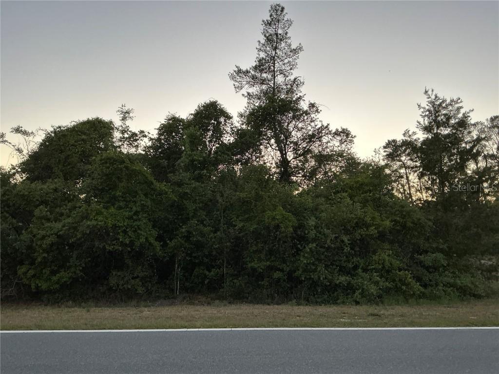 SE 145th Ave., Ocklawaha, FL 32179