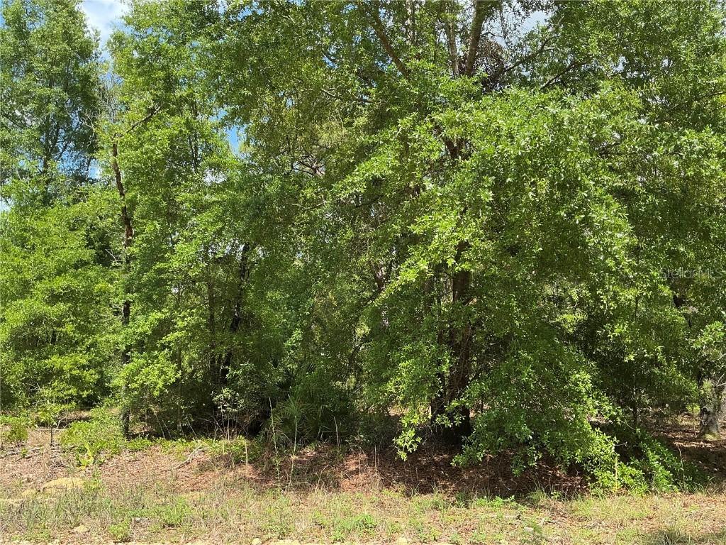 SW 64th St., Ocala, FL 34481