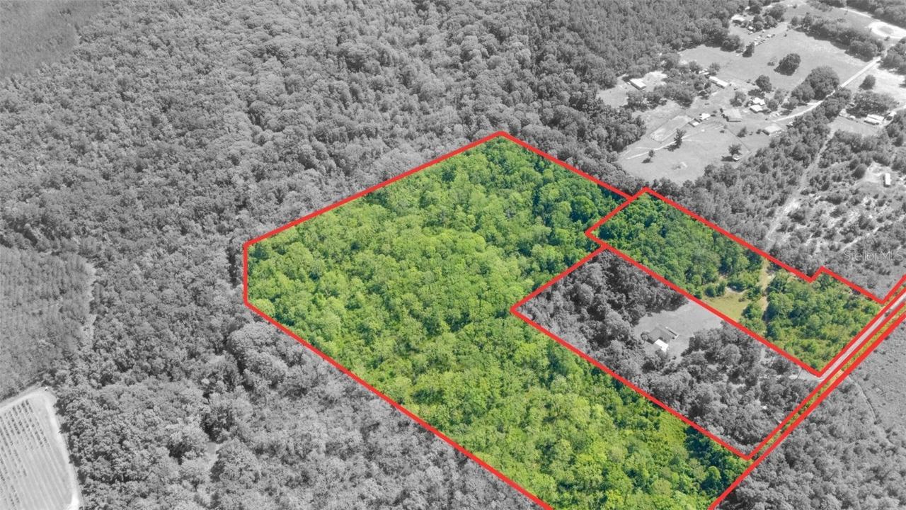 TBD NE 227th Pl, Citra, FL 32113