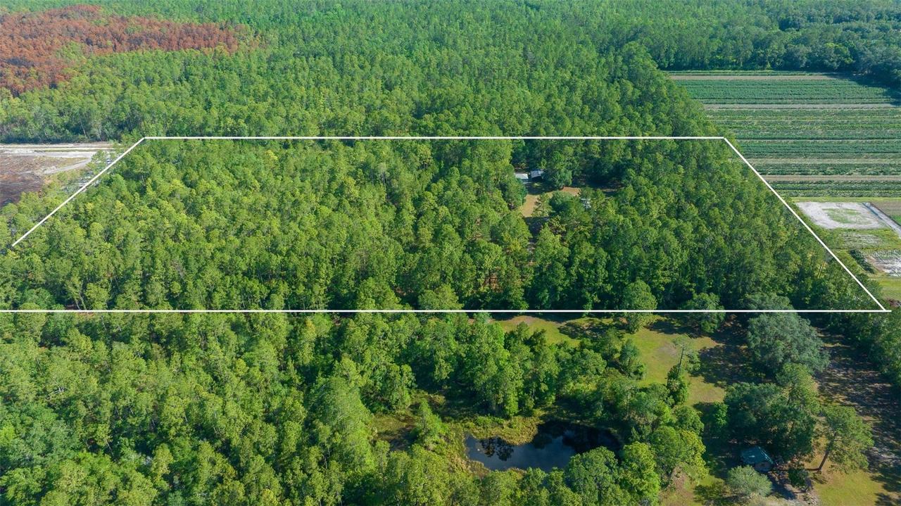 11521 SE 1st Street Rd., Silver Springs, FL 34488
