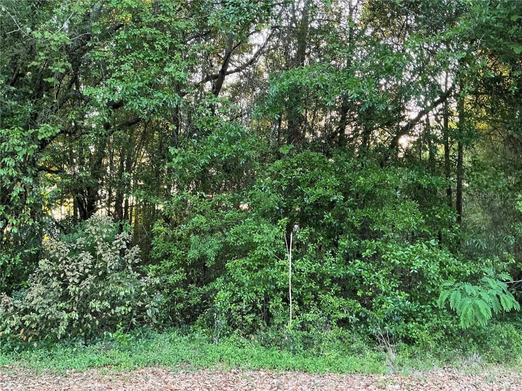 Pine Trace Course, Ocala, FL 34472