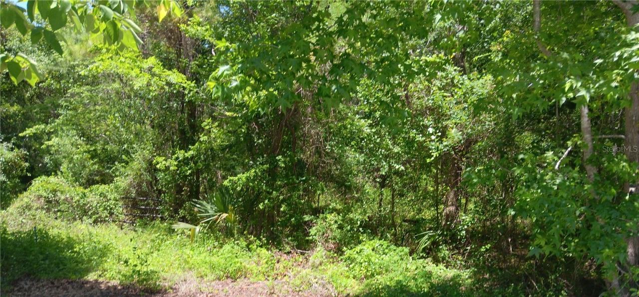 00 NW 82 Ct., Ocala, FL 34482