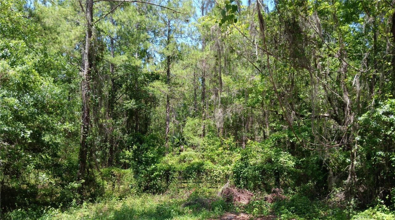 NW 82 Ct., Ocala, FL 34482