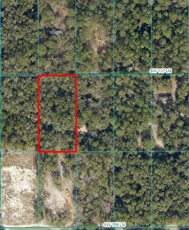 TBD SW 157th Ln., Dunnellon, FL 34432