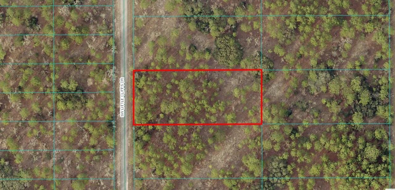 TBD LOT 24 SW Little Cliffs Dr., Dunnellon, FL 34431