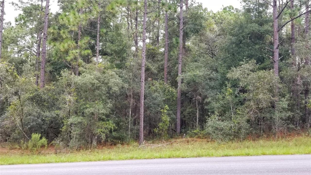 9239 N Irondale Rd., Citrus Springs, FL 34434