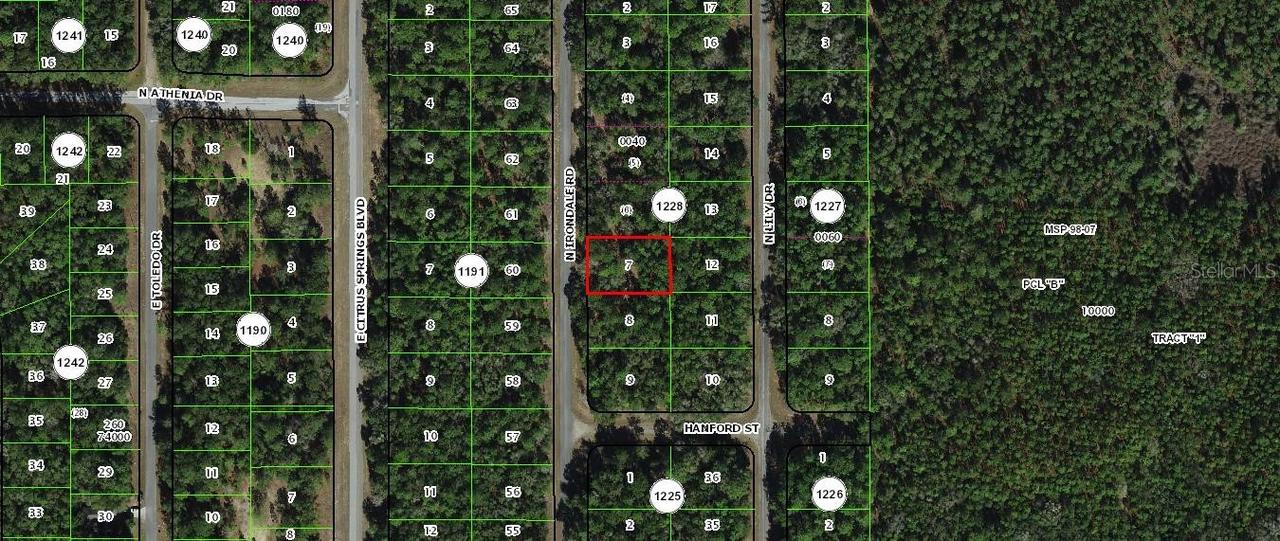 9239 N Irondale Rd., Citrus Springs, FL 34434