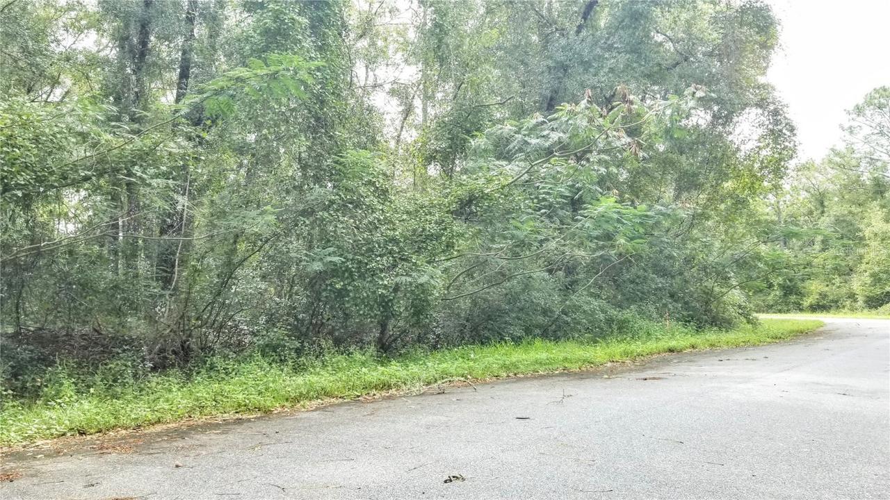 9775 N Dearing Loop, Citrus Springs, FL 34434