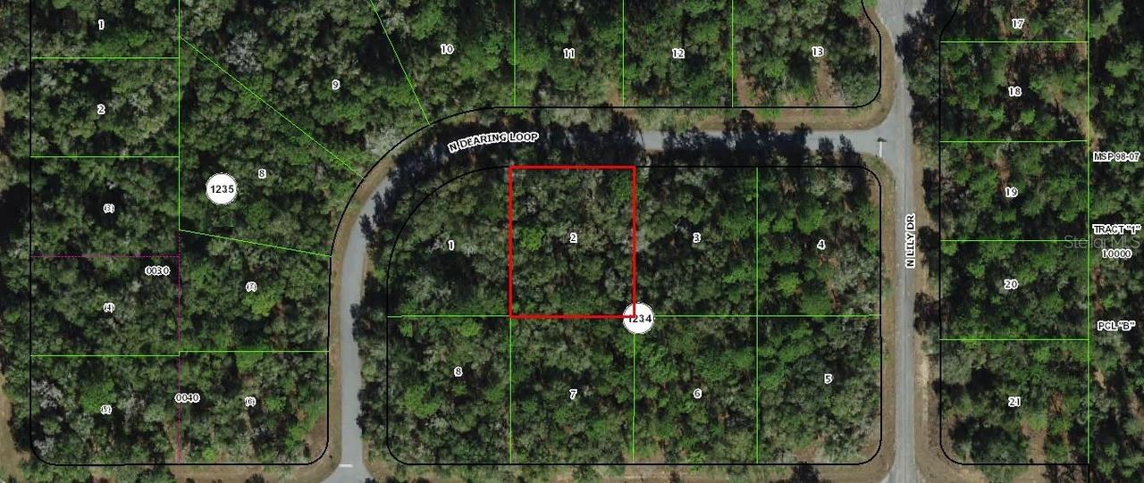 9775 N Dearing Loop, Citrus Springs, FL 34434