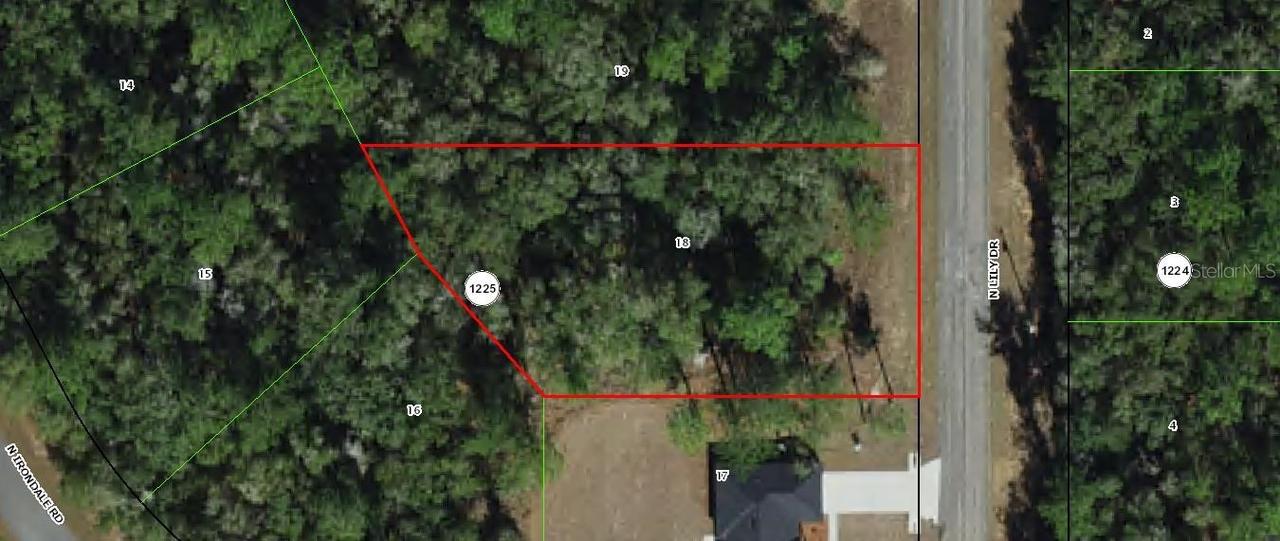 8844 N Lily Dr., Citrus Springs, FL 34434
