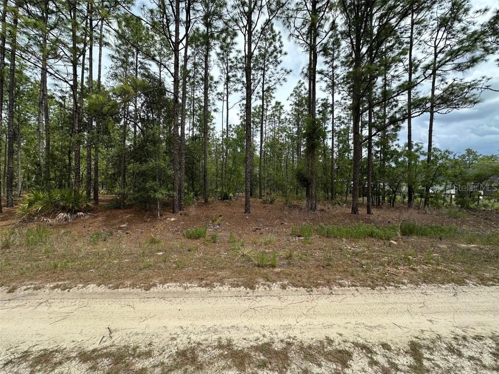 00 SW 75th St., Dunnellon, FL 34432