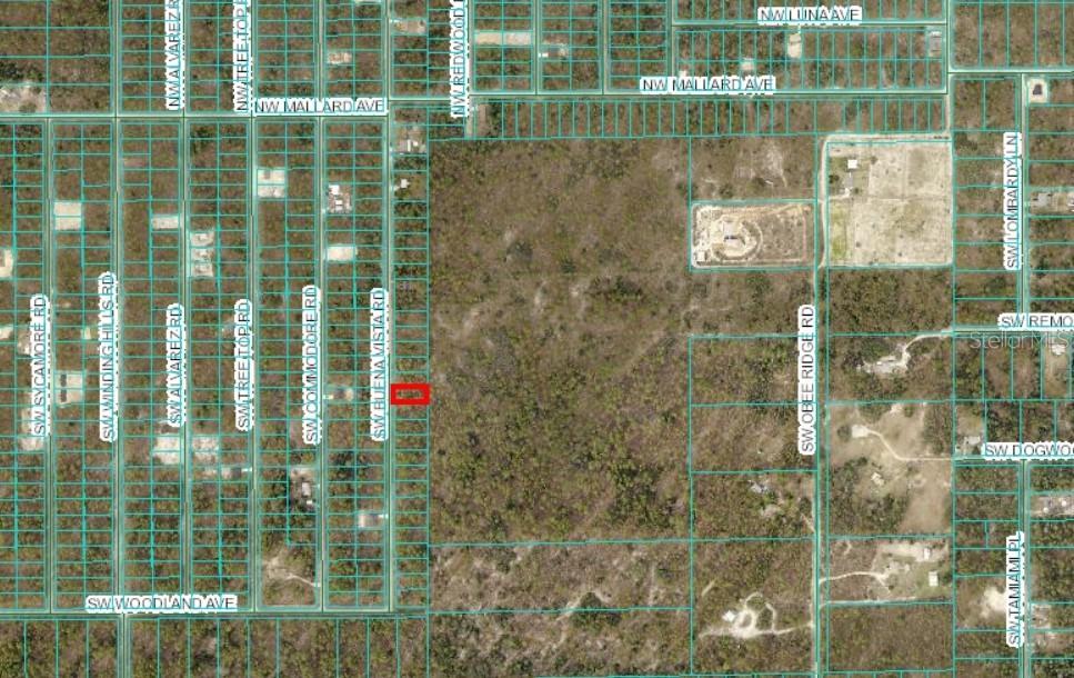 SW Buena Vista Rd., Dunnellon, FL 34431