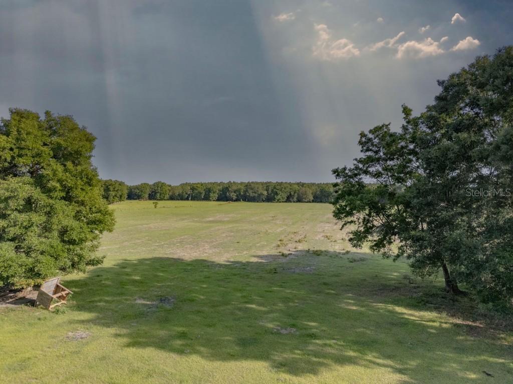 000 NE 75 St., Williston, FL 32696