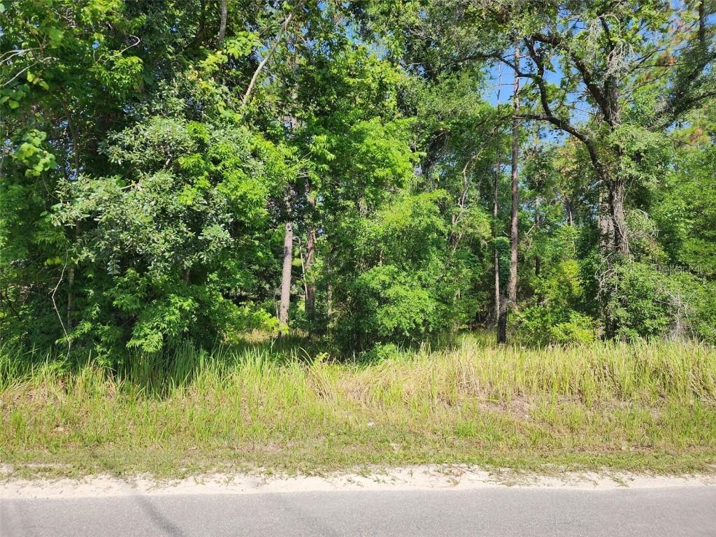 SW 159th Ct., Ocala, FL 34481