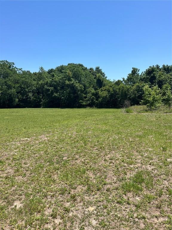 TBD NW 125 Ln., Citra, FL 32113