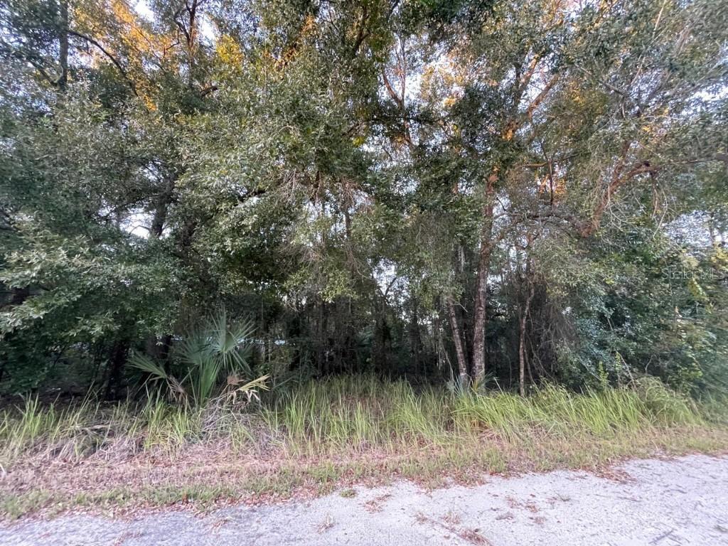 NE 132nd St., Salt Springs, FL 32134