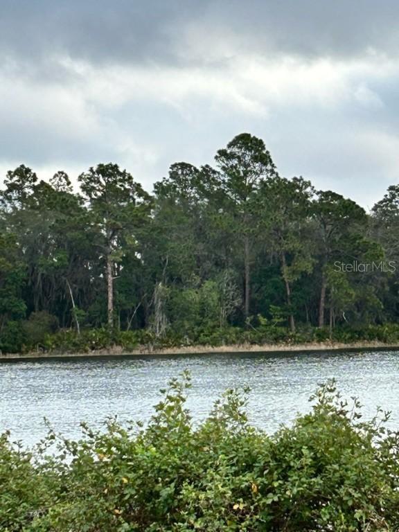 TBD Lot 49 Malauka Radial, Ocklawaha, FL 32179