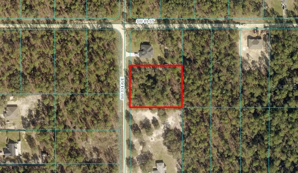 TBD LOT 12 SW 134th Ave., Dunnellon, FL 34432