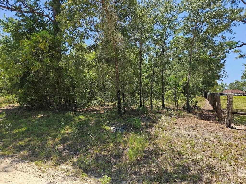 TBD SE 25th St., Morriston, FL 32668