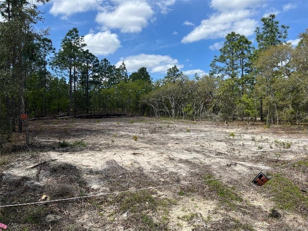 [Address Hidden by Seller], Dunnellon, FL 34431
