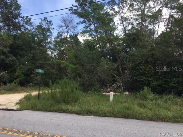 [Address Hidden by Seller], Inverness, FL 34452