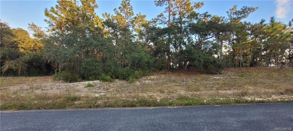 [Address Hidden by Seller], Dunnellon, FL 34433