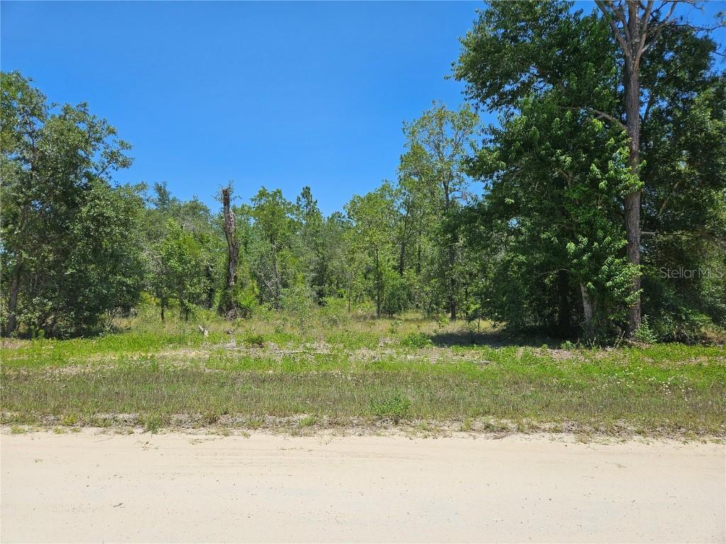TBD SE 26th St., Morriston, FL 32668