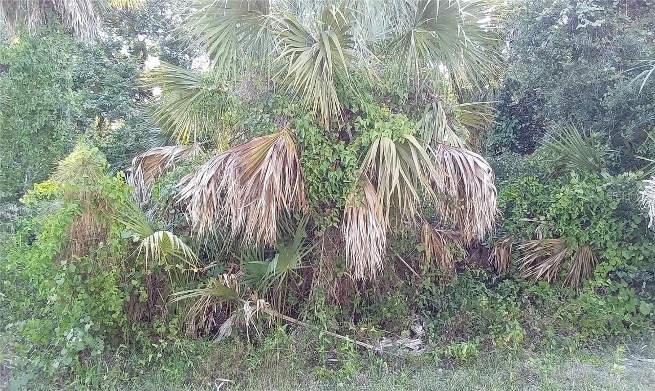 Blueberry Rd., North Port, FL 34288