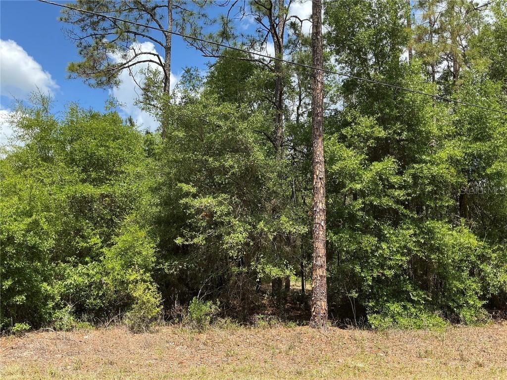 Guava Pass Dr., Ocklawaha, FL 32179