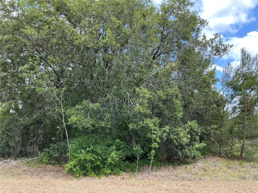 Malauka Loop, Ocklawaha, FL 32179