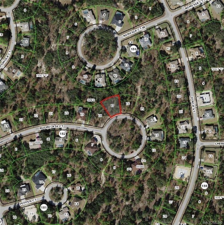 17 Rudbeckia Ct., Homosassa, FL 34446