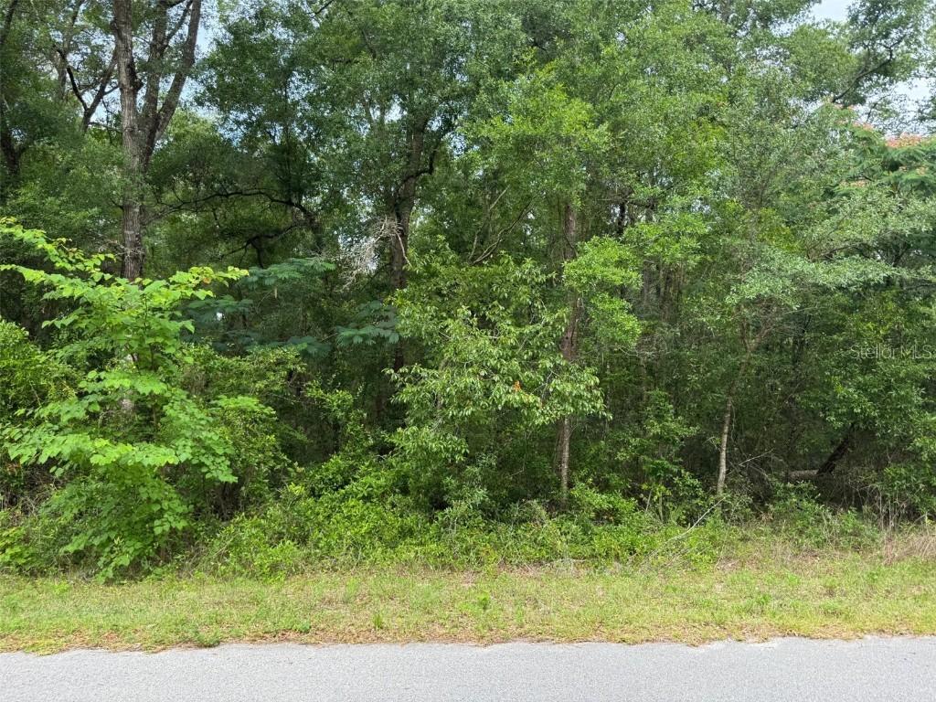 Lot 14 SW Chanel Heights Ct., Dunnellon, FL 34431