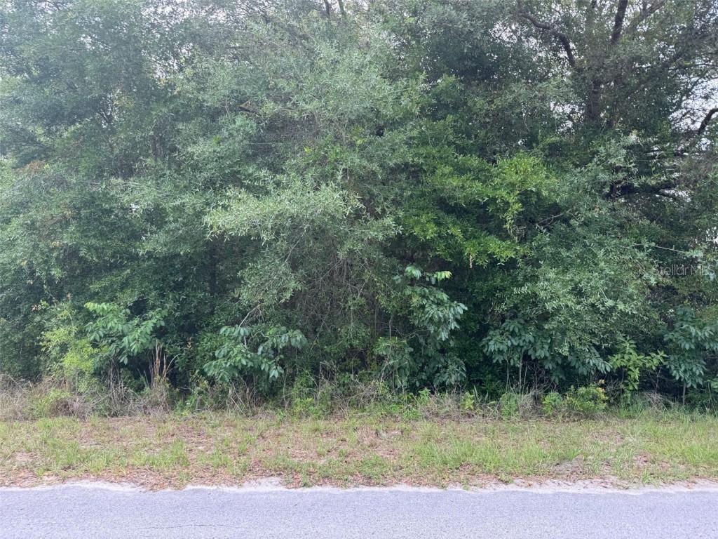 Lot 422 & 423 SW Shorewood Dr., Dunnellon, FL 34431