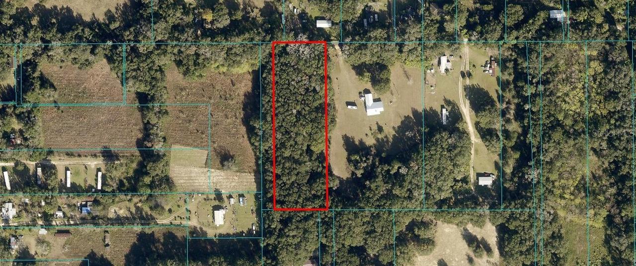 TBD NW 157th Pl., Citra, FL 32113