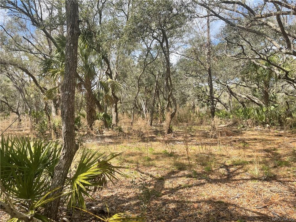 [Address Hidden by Seller], Crystal River, FL 34428