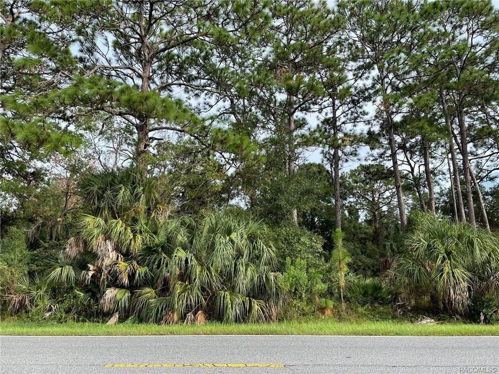 [Address Hidden by Seller], Homosassa, FL 34448