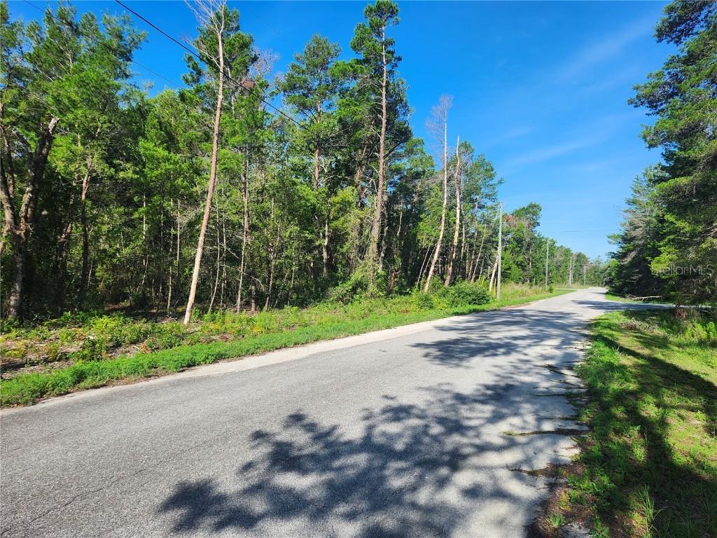 00 Fisher Trail, Ocklawaha, FL 32179