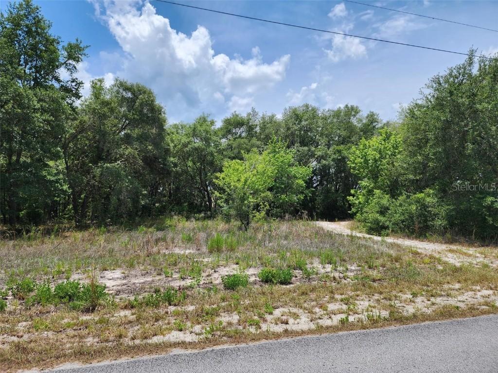 TBD Sailboat Dr., Dunnellon, FL 34431