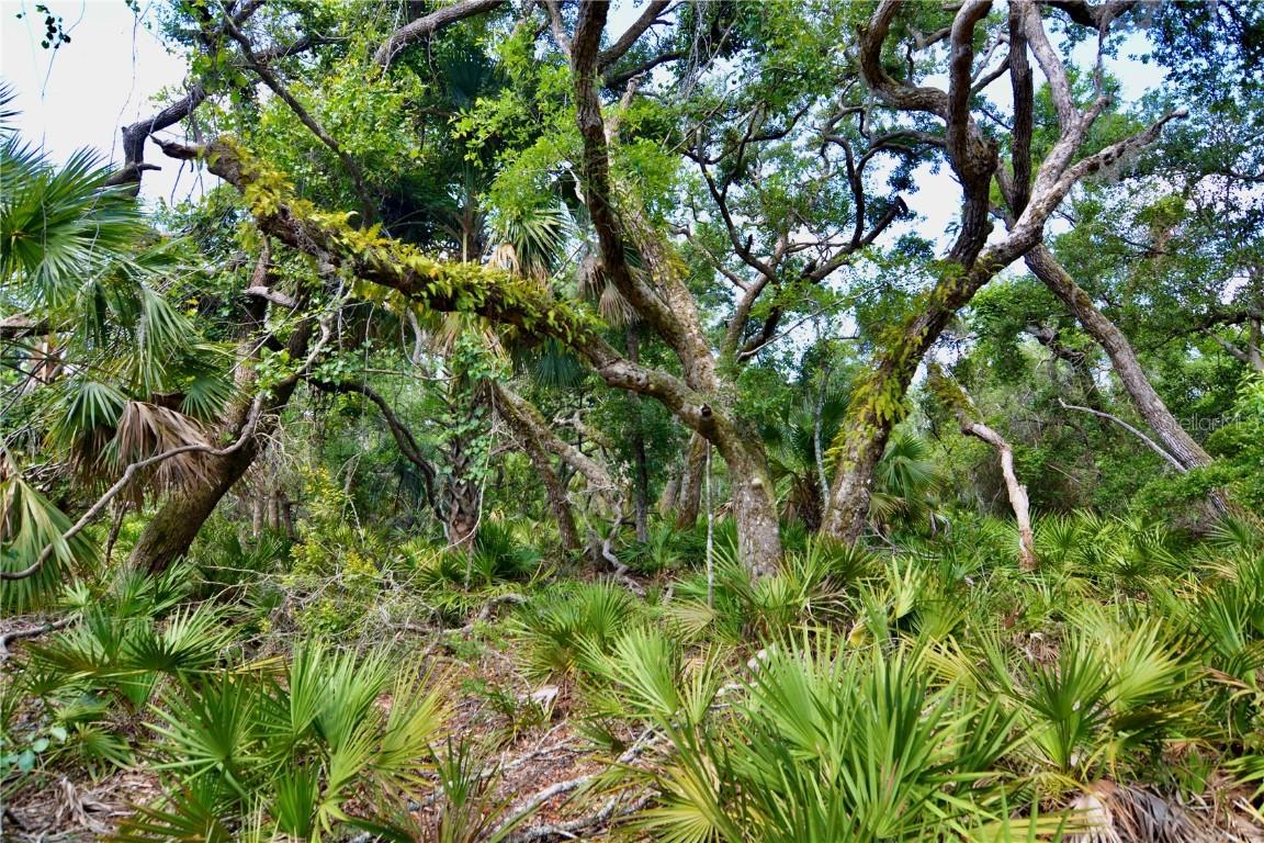 00 Leroy Lyons Rd, Perry, FL 32348