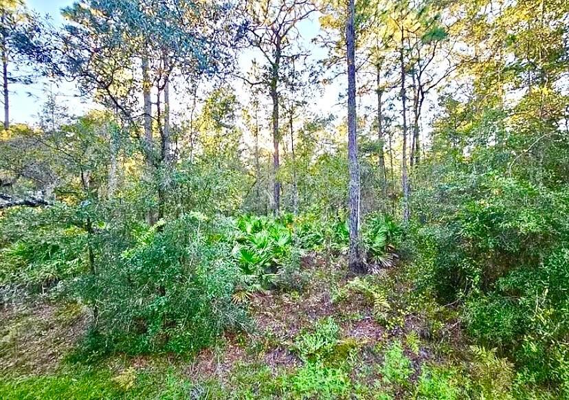 4984 N Sandpebble Point, Crystal River, FL 34428