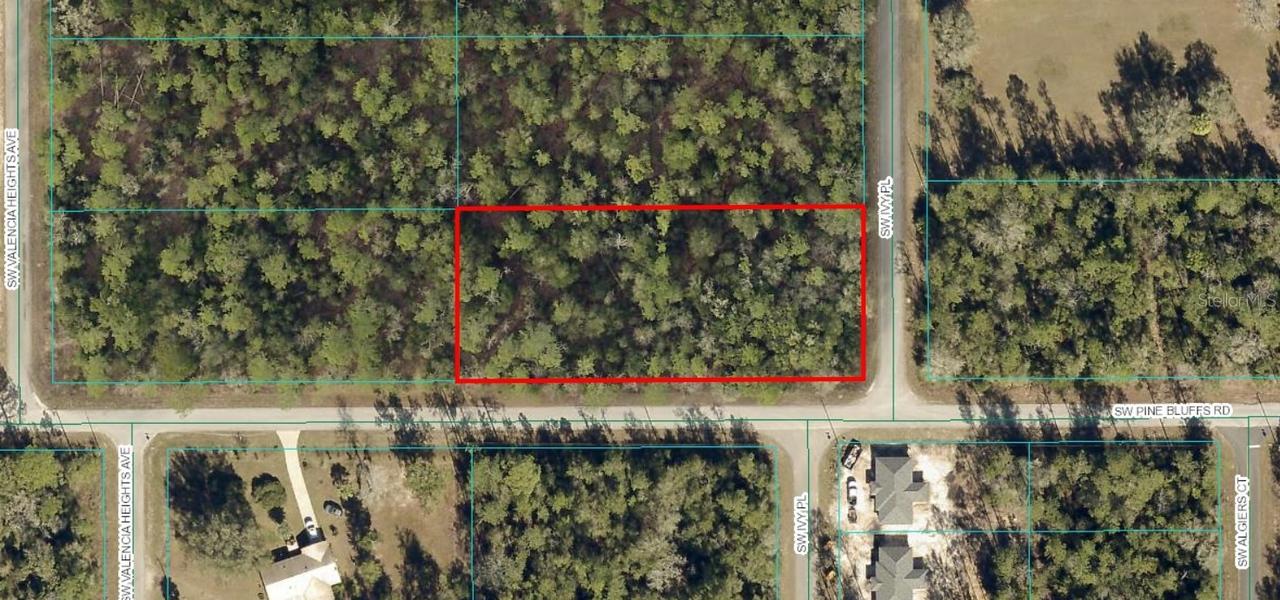 TBD LOT 19 SW Ivy Pl., Dunnellon, FL 34431