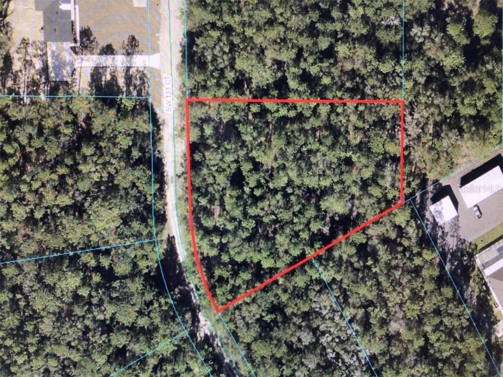 SW 133 Ct., Ocala, FL 34481