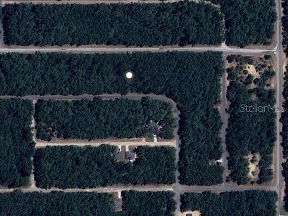 9239 N Patch Dr., Dunnellon, FL 34434